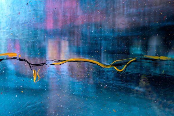 Photo Snake dream