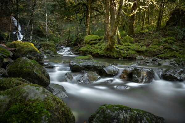 Photo Hidden waterfall